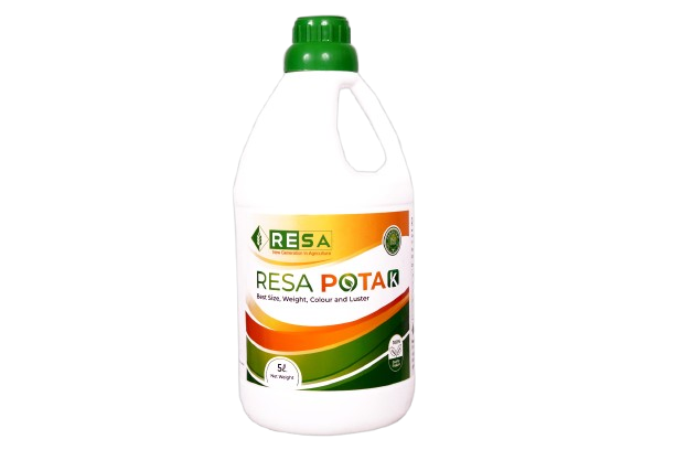 RESA POTA K